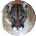 Daniela Yepes profile picture